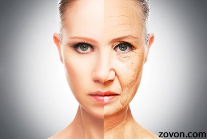 antioxidants and skin aging