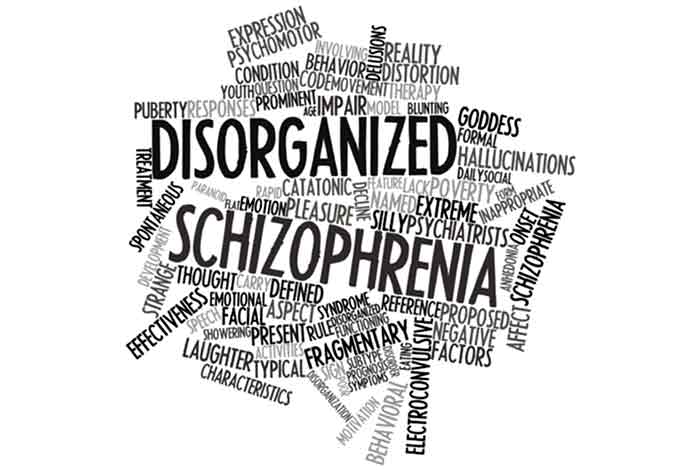 blockage in brains communication network result of schizophrenia