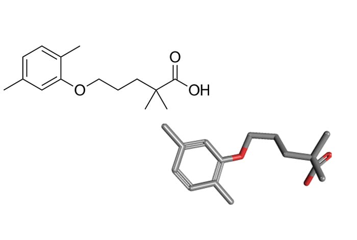 Lopid Generic Price