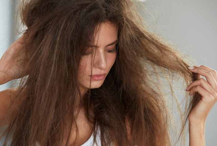 Treat-your-damaged-hair-with-best-Home-remedies Treat your damaged hair