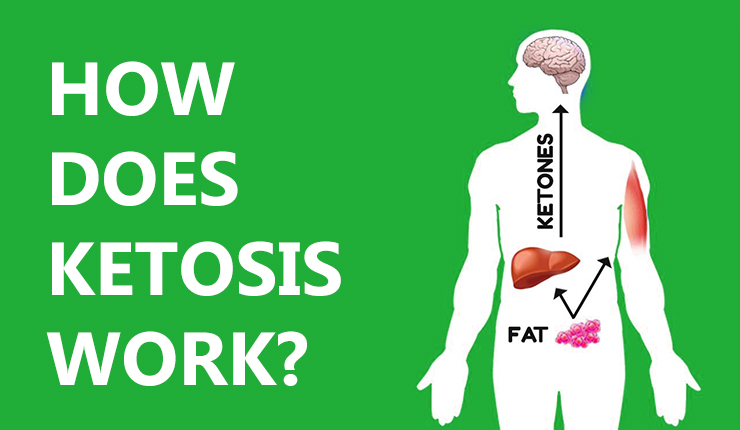 how does ketosis work